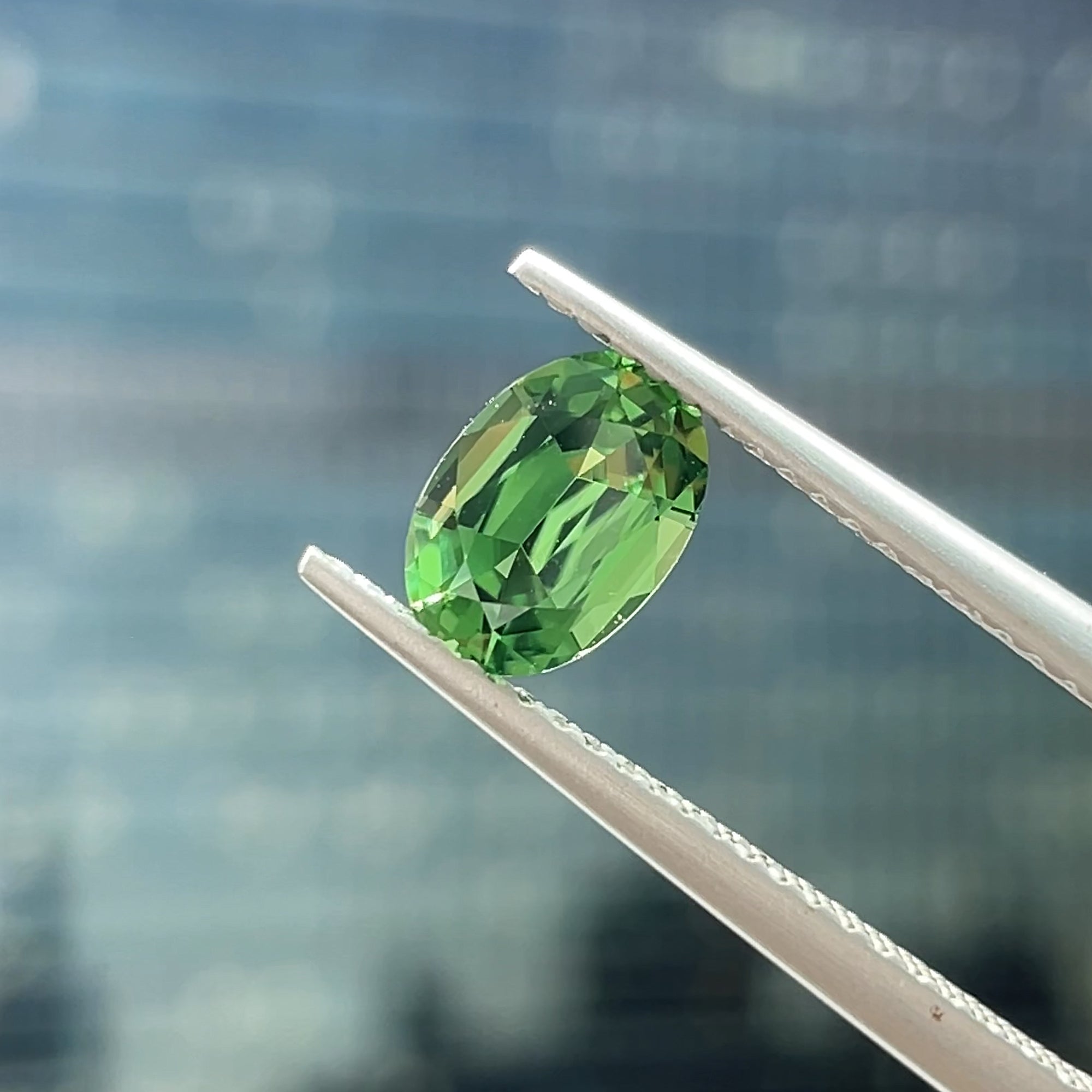 0.93 Chrome Tourmaline from Tanzania 🇹🇿