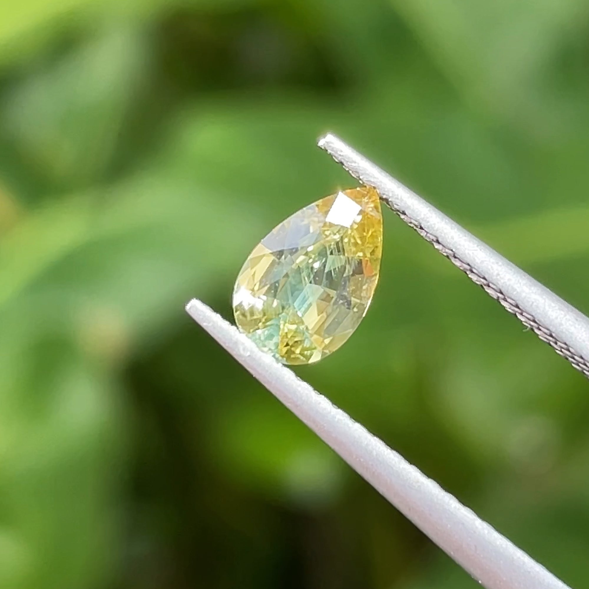 0.77 ct Unheated Yellow Parti Sapphire from Australia 🇦🇺