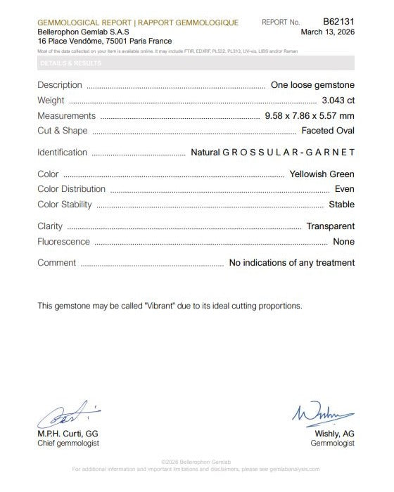 3.04 ct Mali Garnet, precision cut, certificate, view 7