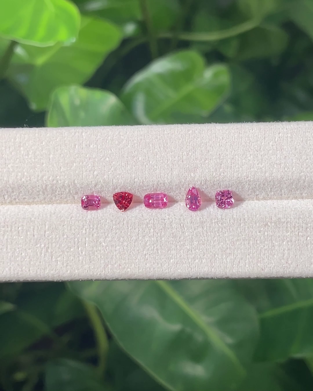 1.56 ct Mahenge Spinel Collector Set πΉπΏ