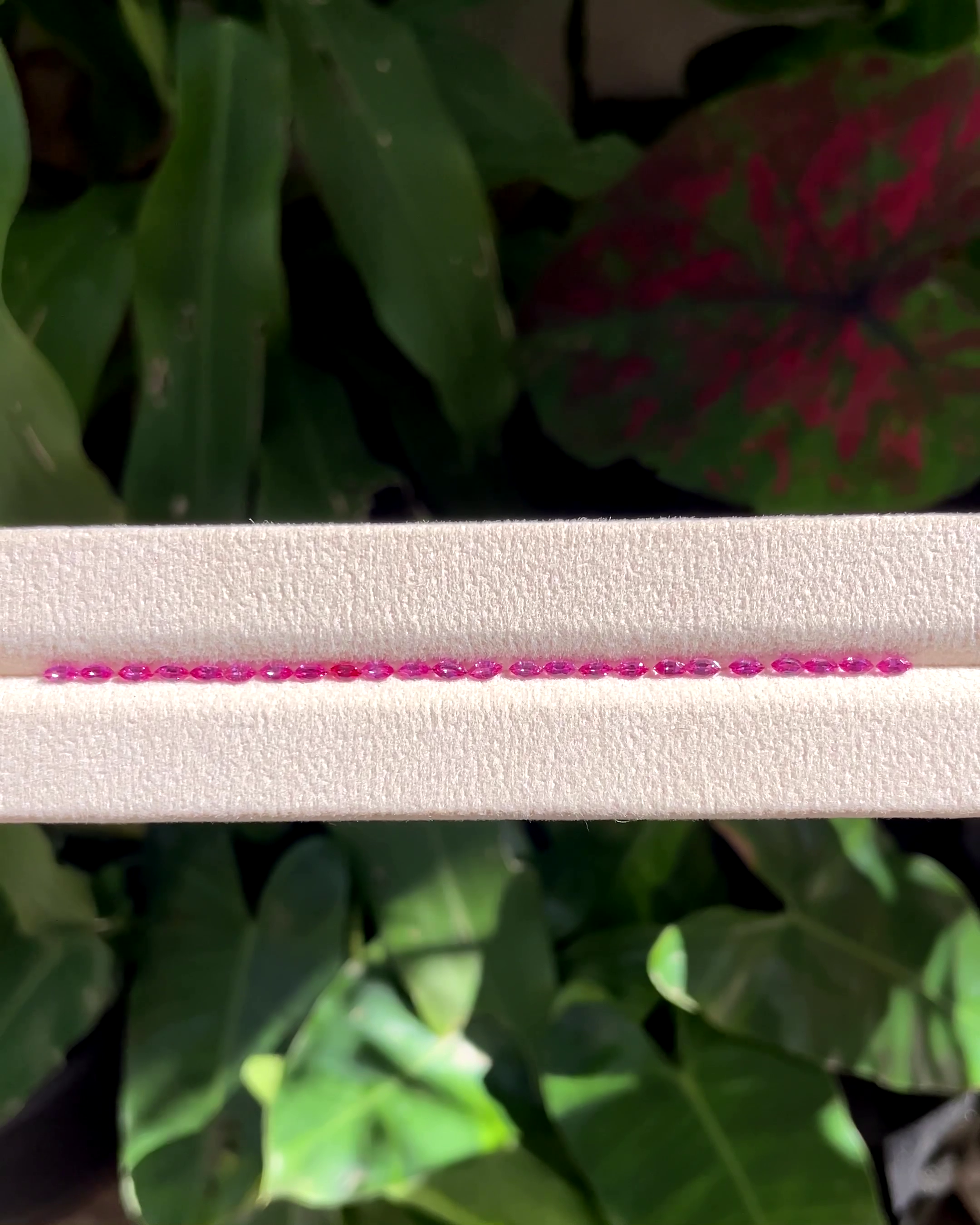 1.95 ct Hot Pink Sapphire Marquise Set (24 Pieces) from Madagascar 🇲🇬