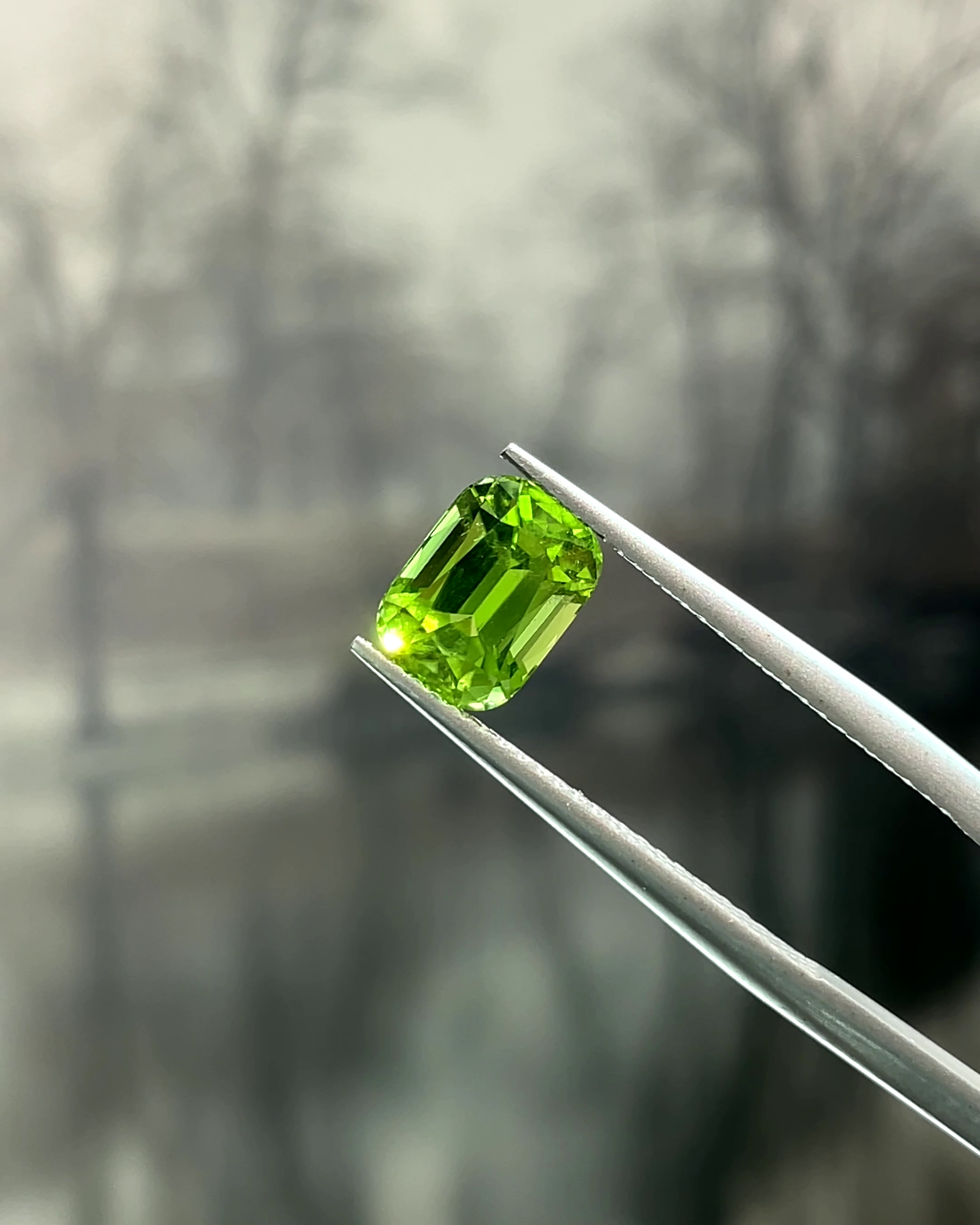 2.27 ct Apple Green Peridot from Pakistan π΅π°