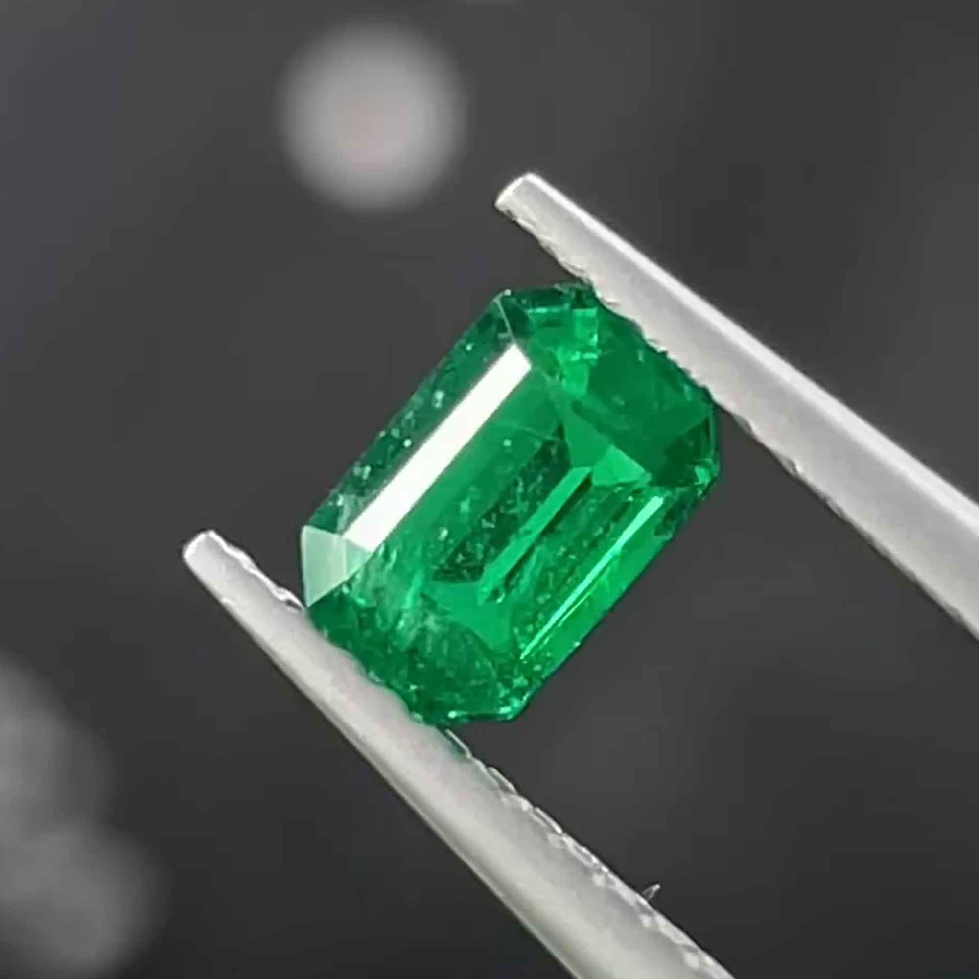 Zambian Emerald 