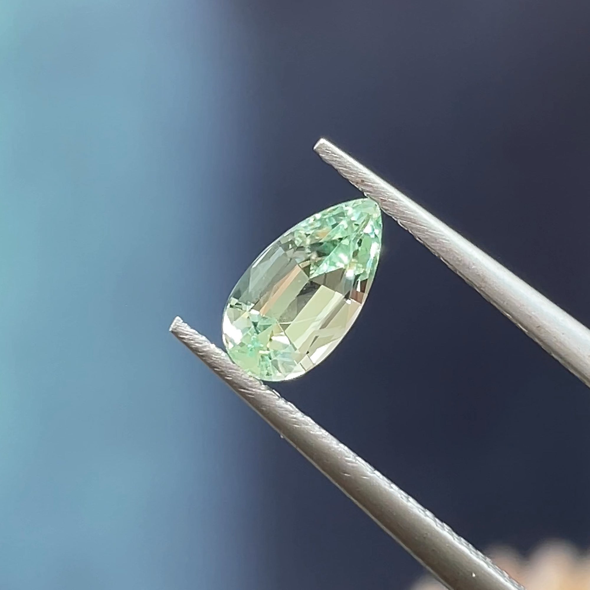 0.99 ct Merelani Mint Garnet from Tanzania 🇹🇿