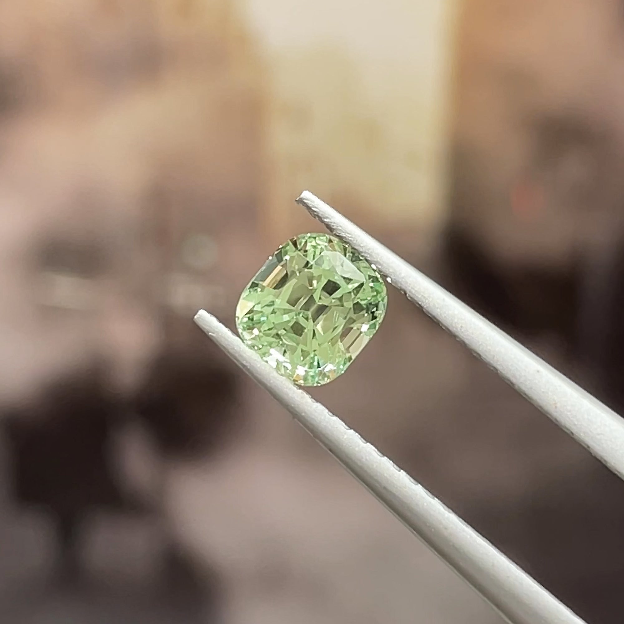 1.03 ct Merelani Mint Garnet from Tanzania 🇹🇿