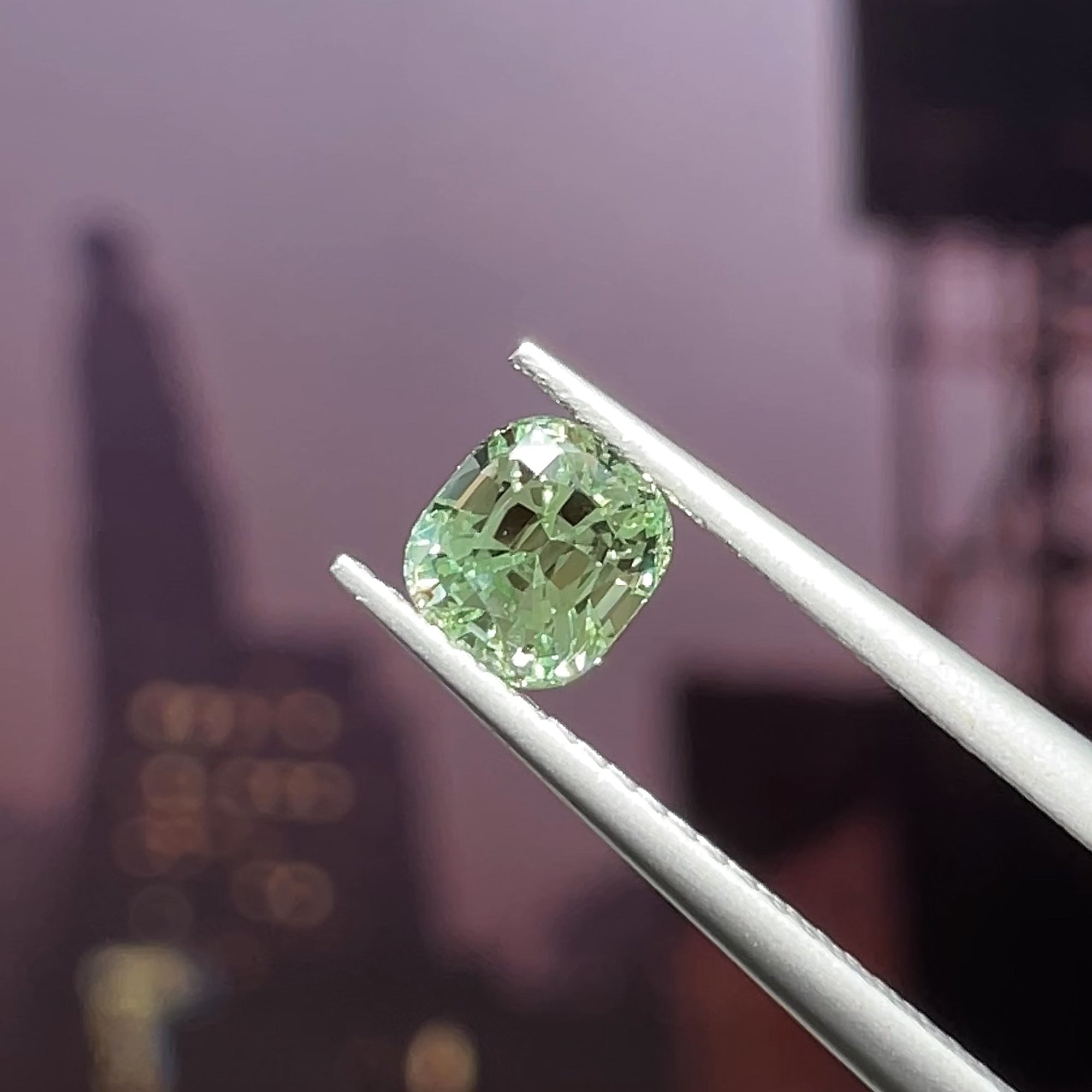 1.03 ct Merelani Mint Garnet from Tanzania 🇹🇿