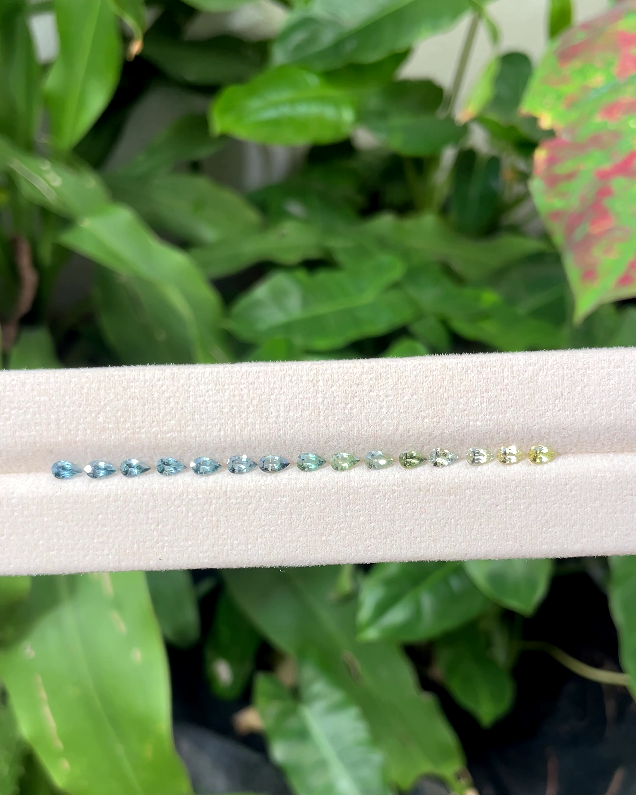 3.01 ct Teal Sapphire Gradient from Madagascar 🇲🇬